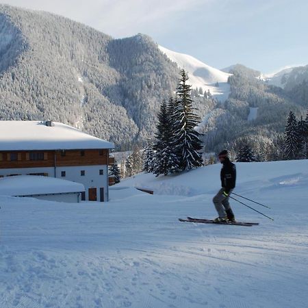 Blsv Sportcamp Direkt Am Kurvenlift Vandrerhjem Schliersee Eksteriør bilde